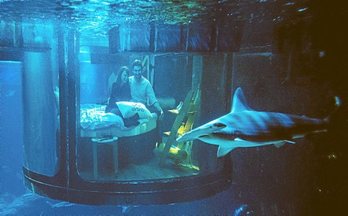 gara-2016-04-19-Reportaje