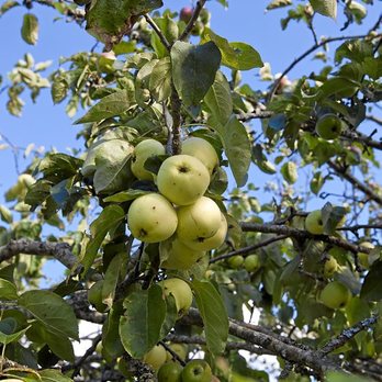 gara-2016-04-19-Noticia