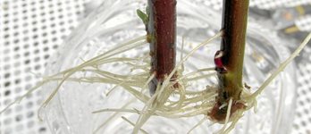 gara-2016-05-03-Noticia