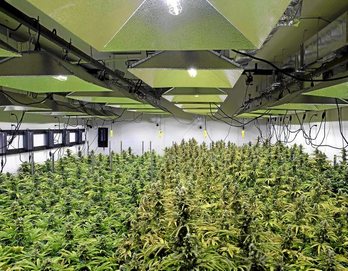 gara-2016-05-10-Reportaje