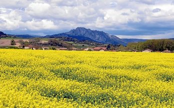 gara-2016-05-10-Reportaje