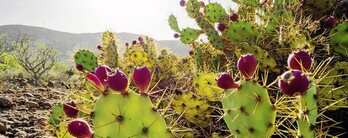 gara-2016-05-10-Noticia