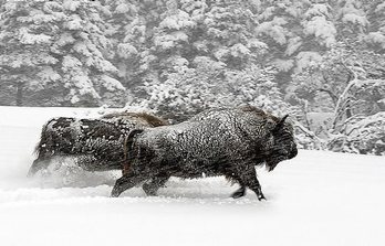 gara-2016-05-23-Noticia