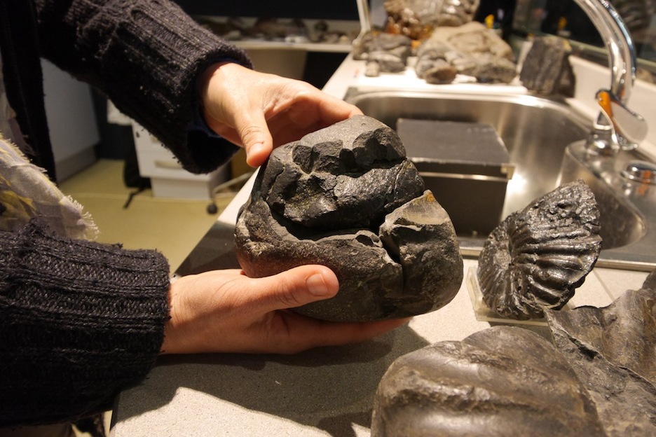 Nautilus interpretazio zentroko erakusketa, Mutrikun. (Gotzon ARANBURU)