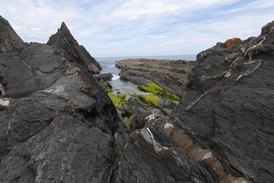 Flysch beltza Saturraranen. (Gotzon ARANBURU)