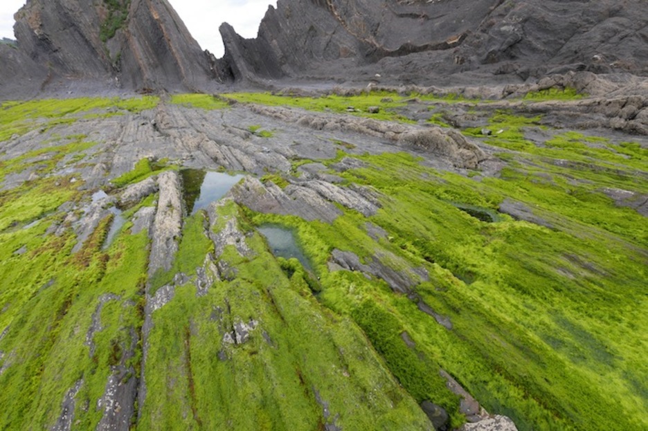 Flysch beltza Saturraranen. (Gotzon ARANBURU)