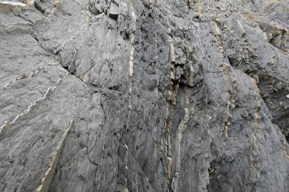 Flysch beltza Saturraranen. (Gotzon ARANBURU)