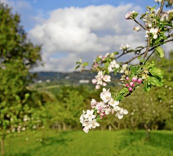 gara-2016-05-26-Reportaje
