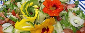 gara-2016-05-31-Noticia