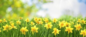 gara-2016-06-07-Noticia