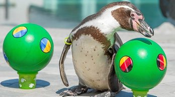 gara-2016-06-11-Noticia