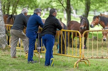 gara-2016-06-17-Noticia