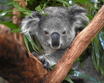 gara-2016-06-21-Reportaje