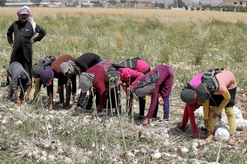 gara-2016-06-23-Reportaje