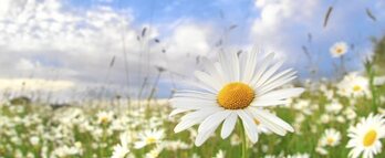 gara-2016-06-28-Noticia