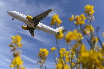 Un avión de Vueling despega del aeropuerto de Barcelona. (Josep LAGO / AFP)