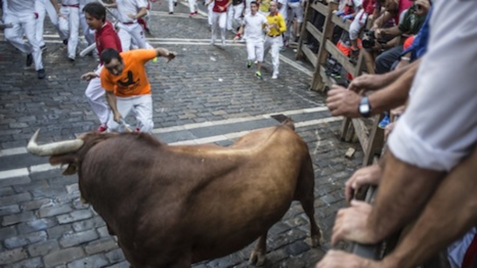 Un toro suelto se queda mirando a un corredor en la curva de Estafeta. (Lander ARROYABE/ARGAZKI PRESS)