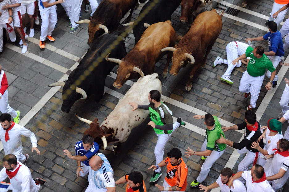 Una compacta manada avanza a buen ritmo. (Jon URBE/ARGAZKI PRESS) Una compacta manada avanza a buen ritmo. (Jon URBE/ARGAZKI PRESS)
