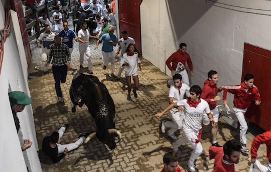 El burel burraco lanza un derrota en el callejón. (Iosu ALTZELAI/ARGAZKI PRESS) El burel burraco lanza un derrota en el callejón. (Iosu ALTZELAI/ARGAZKI PRESS)