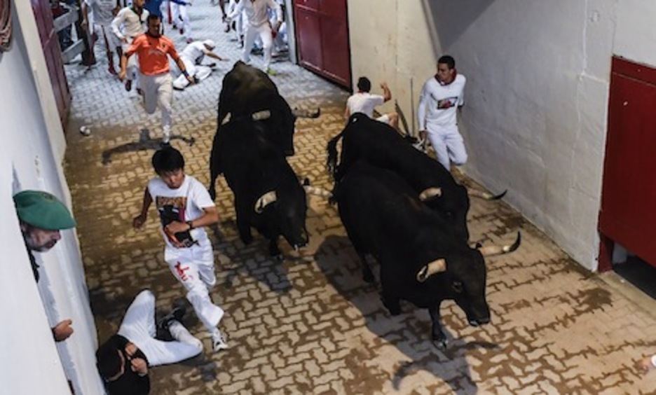 Cuatro toros llegan en formación a la plaza de toros. (Iosu ALTZELAI/ARGAZKI PRESS) Cuatro toros llegan en formación a la plaza de toros. (Iosu ALTZELAI/ARGAZKI PRESS)