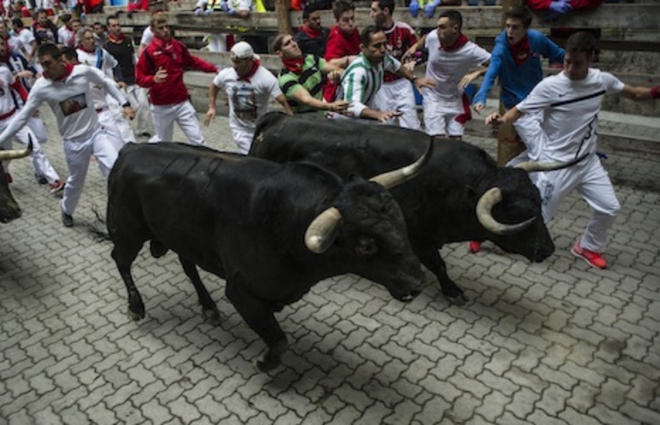 Dos de los toros negros enfilan hacia el callejón. (Jagoba MANTEROLA/ARGAZKI PRESS) Dos de los toros negros enfilan hacia el callejón. (Jagoba MANTEROLA/ARGAZKI PRESS)