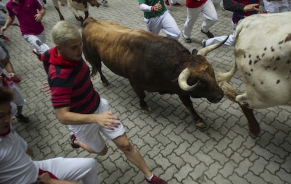 El astado se dirige hacia la plaza siguiendo a los mansos. (Jagoba MANTEROLA/ARGAZKI PRESS) El astado se dirige hacia la plaza siguiendo a los mansos. (Jagoba MANTEROLA/ARGAZKI PRESS)