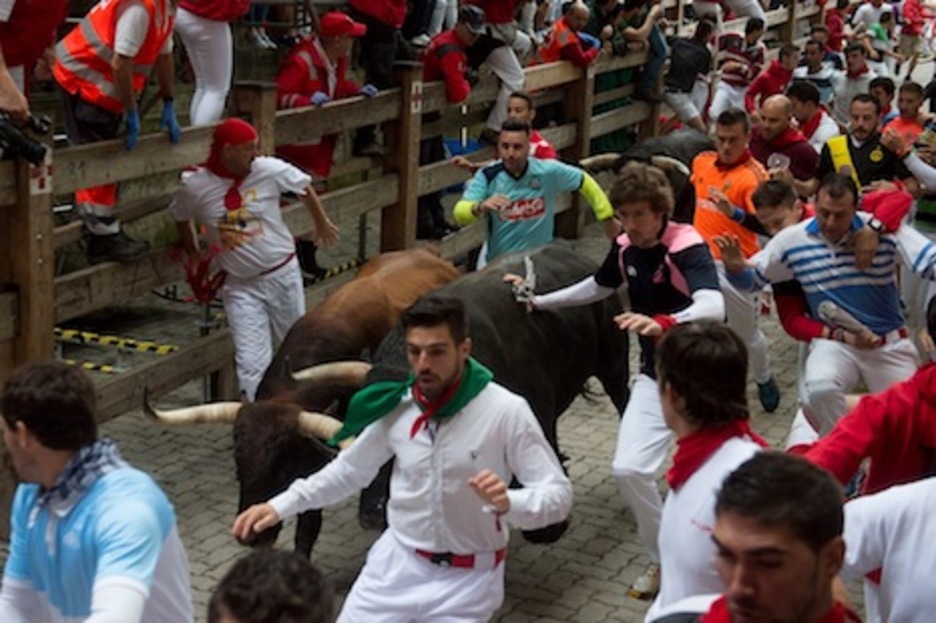 El burel castaño y uno de los negros corren entre los mozos. (Iñigo URIZ/ARGAZKI PRESS) El burel castaño y uno de los negros corren entre los mozos. (Iñigo URIZ/ARGAZKI PRESS)