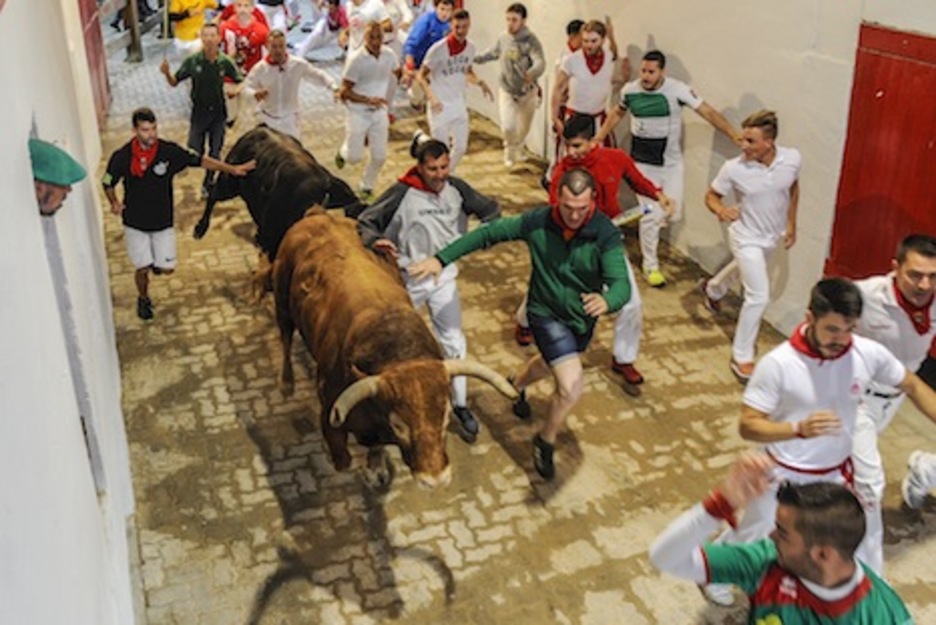 Los dos últimos astados de Núñez del Cuvillo pasan por el callejón. (Gorka RUBIO/ARGAZKI PRESS) Los dos últimos astados de Núñez del Cuvillo pasan por el callejón. (Gorka RUBIO/ARGAZKI PRESS)