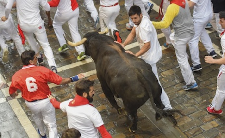 Un corredor apoya las manos en uno de los Núñez del Cuvillo. (Andoni CANELLADA/ARGAZKI PRESS) Un corredor apoya las manos en uno de los Núñez del Cuvillo. (Andoni CANELLADA/ARGAZKI PRESS)