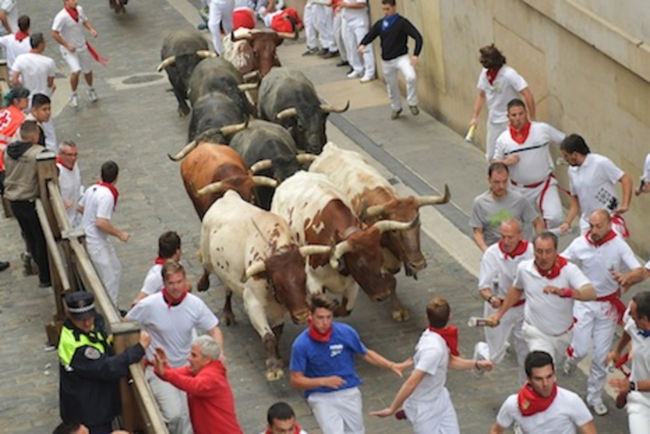 Los mansos abren la manada a su paso por el último tramo de Santo Domingo. (Idoia ZABALETA/ARGAZKI PRESS) Los mansos abren la manada a su paso por el último tramo de Santo Domingo. (Idoia ZABALETA/ARGAZKI PRESS)