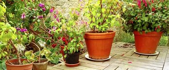 gara-2016-07-26-Noticia