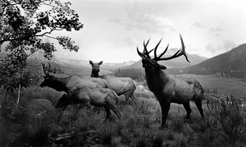 gara-2016-08-02-Noticia