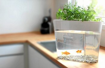 gara-2016-08-02-Noticia