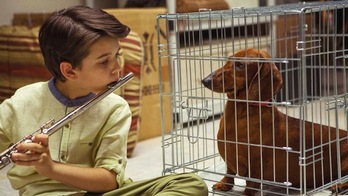 Todd Solondz zinemagilearen ‘Wiener-Dog’ lanaren fotograma bat. 