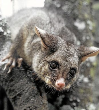 gara-2016-08-11-Reportaje