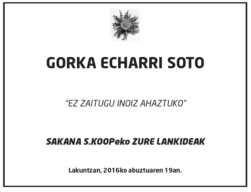 Gorka-echarri-soto-1