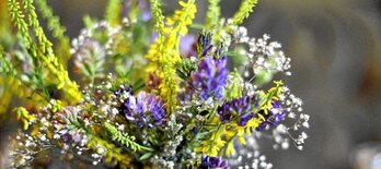 gara-2016-08-23-Noticia