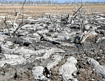 gara-2016-08-23-Reportaje