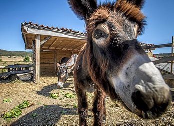 gara-2016-08-25-Reportaje