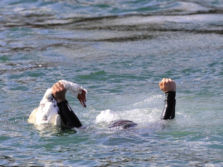 Ur azpian, baina besoak ondo jasota. (Ander GILLENEA/AFP)