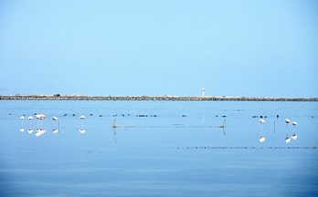 gara-2016-09-06-Reportaje