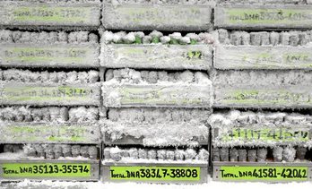 gara-2016-09-13-Reportaje