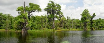 gara-2016-09-20-Noticia