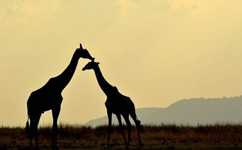 gara-2016-09-20-Reportaje