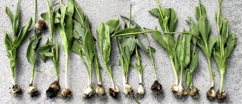 gara-2016-09-27-Noticia