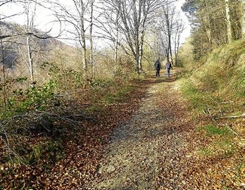 gara-2016-10-02-Noticia