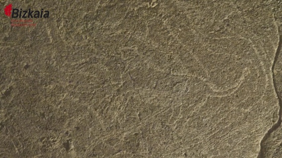 Gutxienez bi lehoi agertzen dira Armintxeko grabatuen artean. 