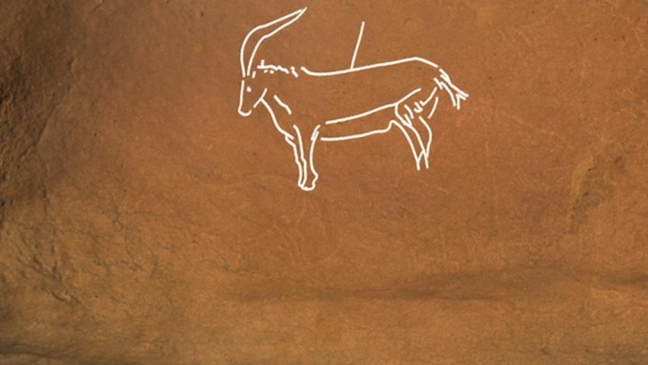 Ahuntzaren familiako bost animalia aurkitu dituzte. 