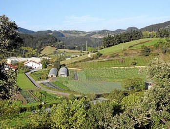 gara-2016-10-13-Reportaje