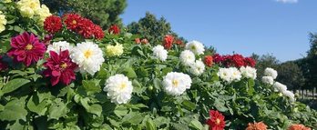 gara-2016-10-19-Noticia